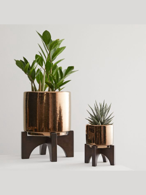 Mid-century Turned Wood Tabletop Planters - Bronze