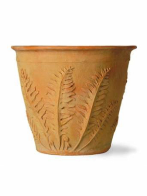 Fern Planter In Terracotta Finish