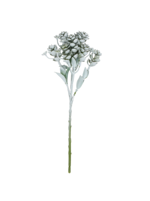 Allstate Floral 11.75" Mint Green And White Sedum Artificial Christmas Spray