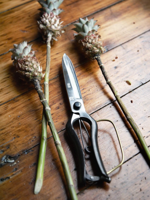 Landscaping Shears