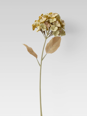 24" Artificial Faux Dried Hydrangea Stem - Threshold™