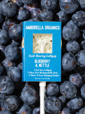 Seed-bearing Lollipop: Blueberry Nettle