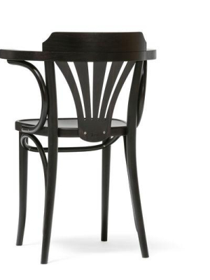 Michael Thonet No. 25 Bentwood Chair By Ton