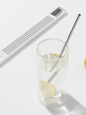 W & P Metal Straws