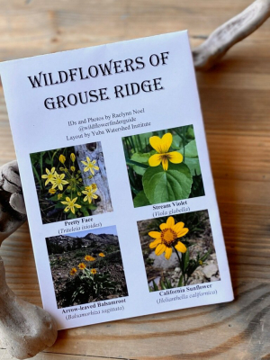Wildflowers Of Grouse Ridge
