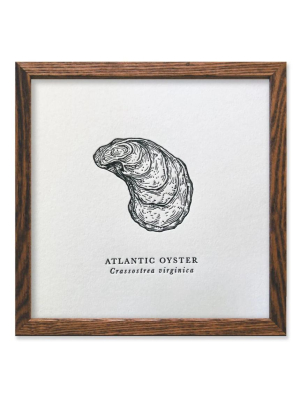 Atlantic Oyster Letterpress Print