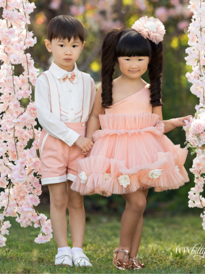 Nicole Dress (peach)