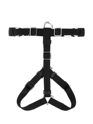 Prada Pet Harness