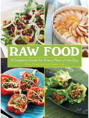 Raw Food - By Erica Palmcrantz Aziz & Irmela Lilja (paperback)