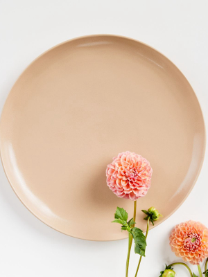 Visto Blush Stoneware Dinner Plate