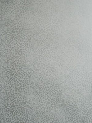 Bagatelle Spot Wallpaper 04 By Nina Campbell For Osborne & Little