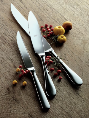 Americano Steak Knife Set - Stainless Steel (set Of 4)