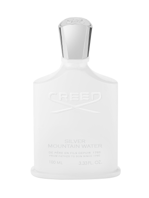 Silver Mountain Water 100ml