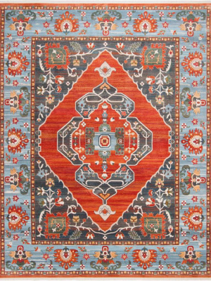 Vintage Persian Rust/blue Area Rug