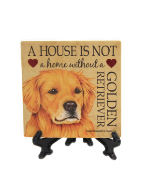 Animal 4.0" Golden Retriever - House Stone Coaster Easel Sjt Enterprises - Coasters