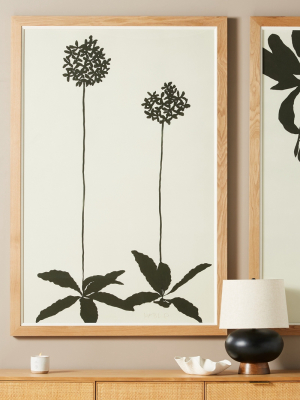 Allium Wall Art