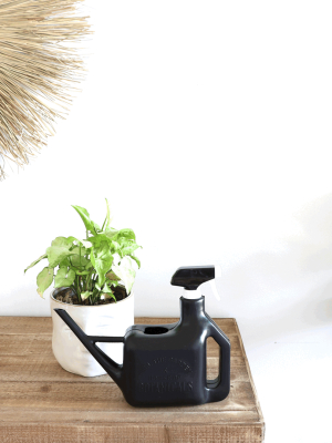 Spritzer All-in-one Watering Can
