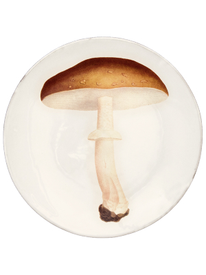 Agaric Blanc Fauve Dinner Plate