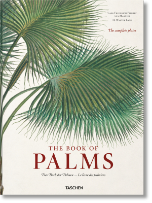 The Book Of Palms