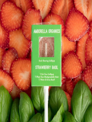 Seed-bearing Lollipop: Strawberry Basil