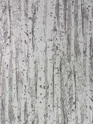 Birch Wallpaper In Gray From The Mansard Collection By Osborne & Little