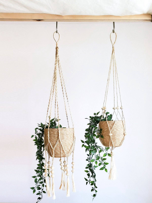 Fiora Plant Hanger Set