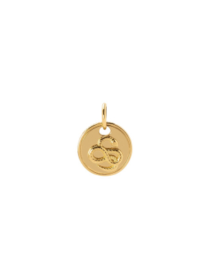 Mini Coin Snake Charm