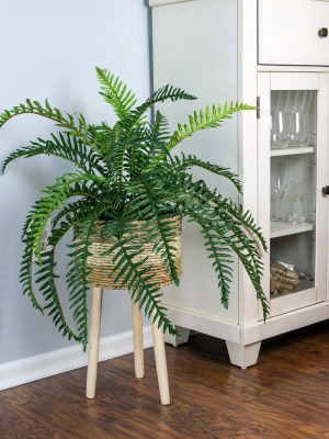 38" X 34" Artificial River Fern Plant In Basket Stand - Lcg Florals