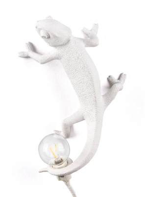 Chameleon Lamp