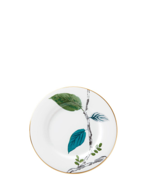 Birch Way Saucer