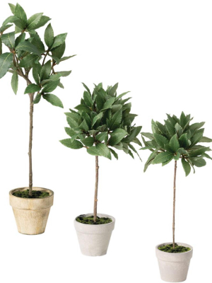 Sullivans Artificial Set Of 3 Bay Leaf Topiary 21"h, 15.5"h & 14"h Green