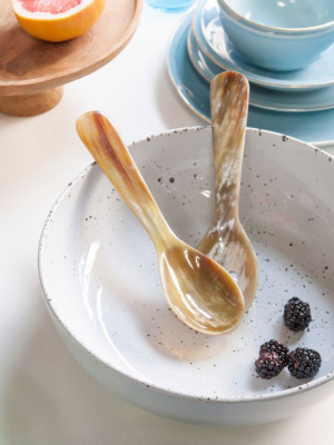 Blue Pheasant Gala Natural 2-piece Serving Spoon Set