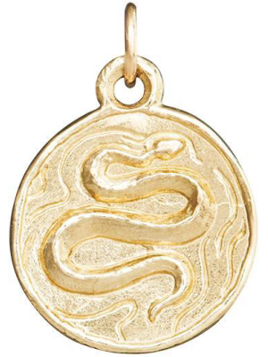 Snake Coin Charm