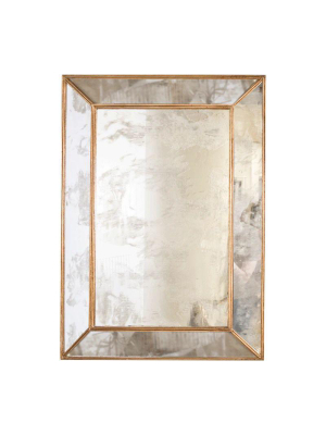 Dion Rectangular Antique Mirror W/ Gold Leafed Wood Edges