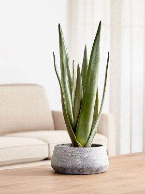 Faux Potted Agave