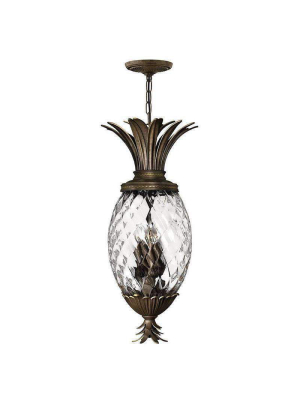 Foyer Plantation Pearl Bronze