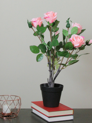 Northlight 19" Artificial Blooming Potted Light Pink Valentine's Day Ecuador Rose Shrub