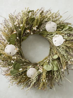 Coastal Greens Wreath