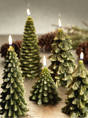 Winter Pine Tree Candle