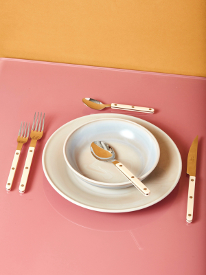 Stainless Steel Flatware In Ivory