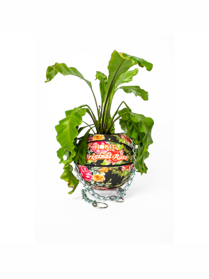 Floral Basketbal Planter - Black