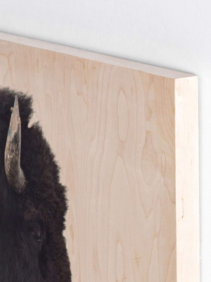 American Bison - Maple Box 60"x40"