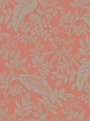 Canopy Wallpaper In Rose From The Rifle Paper Co. Collection By York Wallcoverings