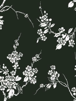 Imperial Blossoms Branch Wallpaper In Black And White From The Silhouettes Collection By York Wallcoverings