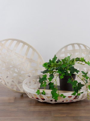 Northlight Set Of 3 White Lattice Tobacco Table Top Baskets