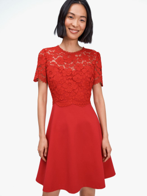 Rose Lace-bodice Ponte Dress