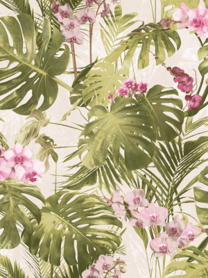 Green Monstera Leaf Wallpaper By Walls Republic