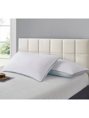 Jumbo 2pk Goose Feather Bed Pillow - Cannon