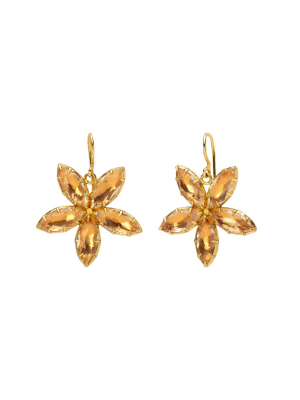 Sadie Astra Earrings - Nectar