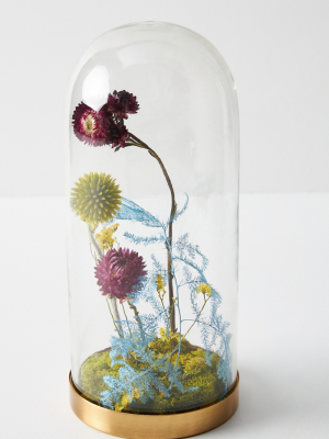 Floral Curiosity Cloche